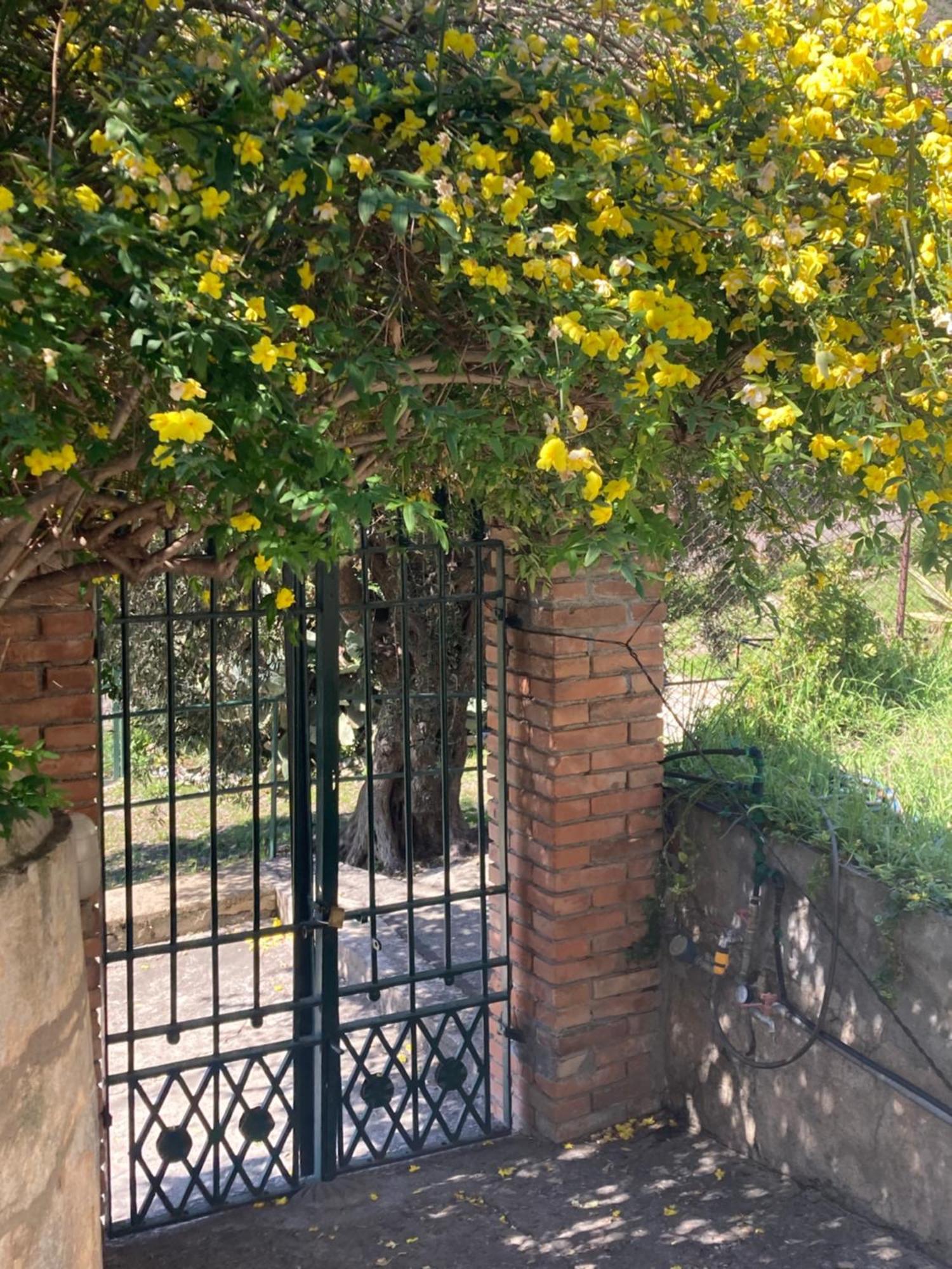 Apartment La Cava