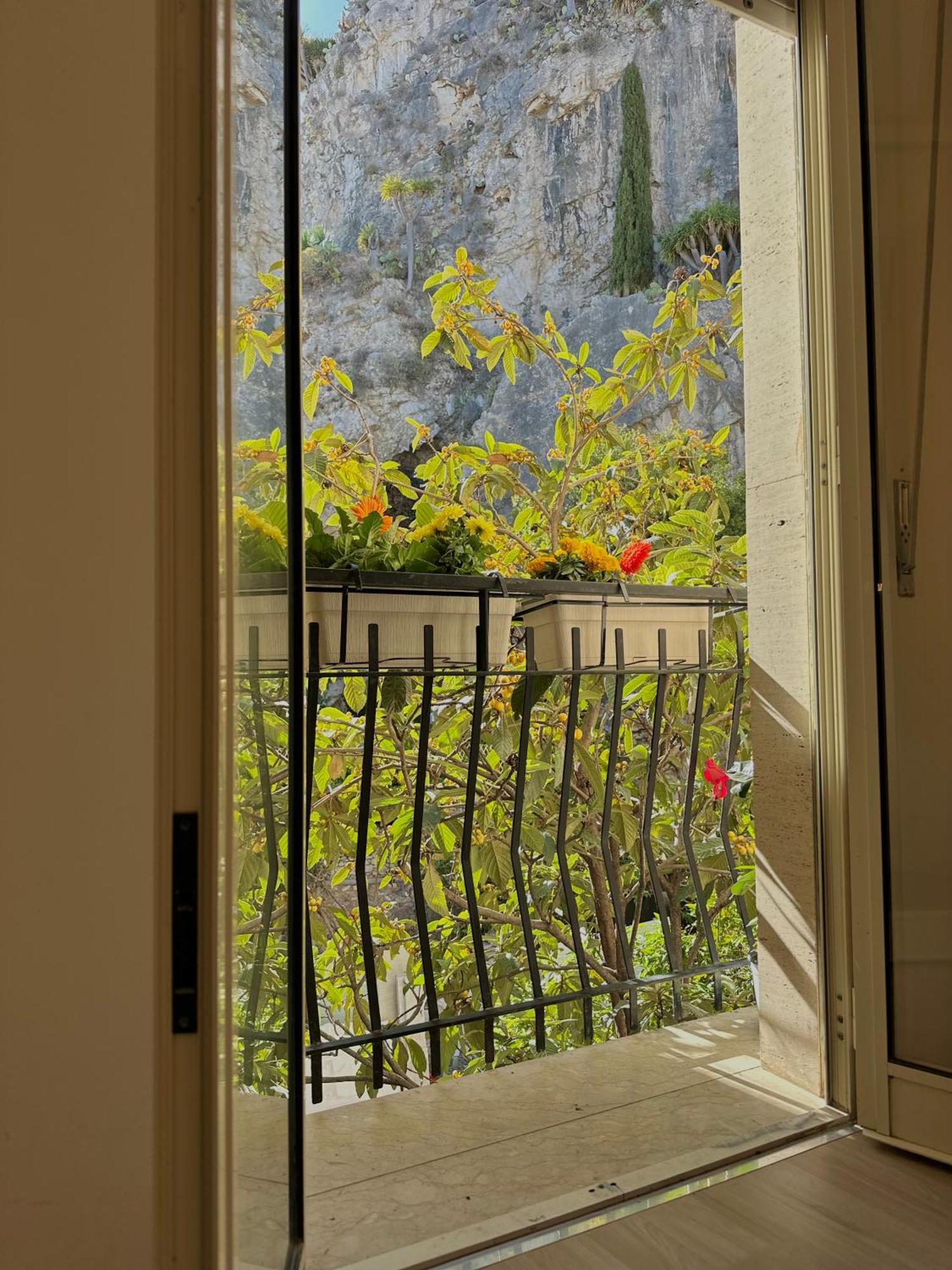 Sunflower Taormina