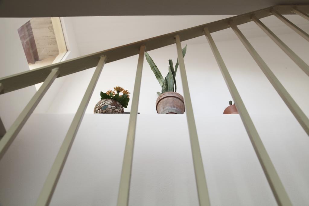 Casa Mediterraneo *