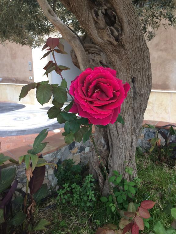 Medea Aparthotel Taormina
